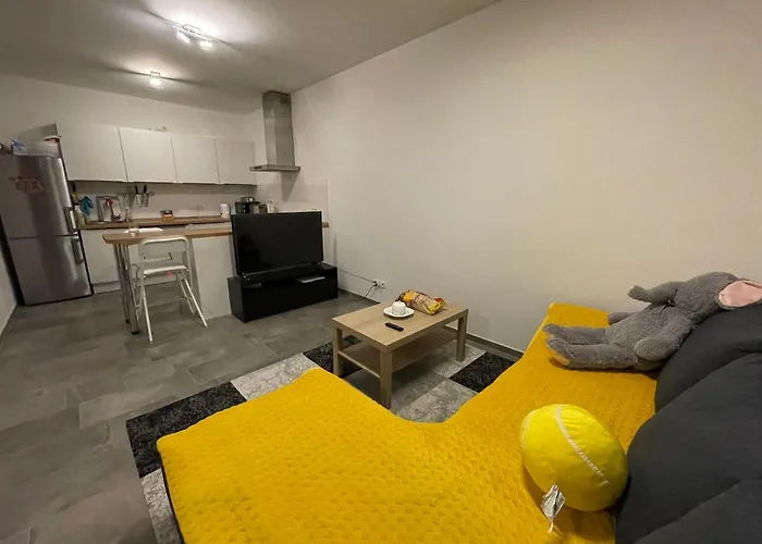 Luxembourg 2 Bedroom Apartment In Gasperich